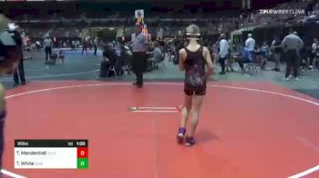 66 lbs Consi Of 8 #1 - Traxler White, Legacy Wrestling Academy vs Tristan Mendenhall, Team Real Life