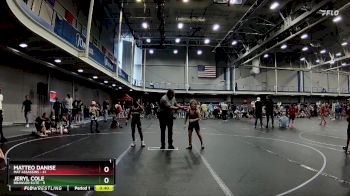 84 lbs Round 5 (10 Team) - Matteo Danise, Mat Assassins vs Jeryl Cole, Brawler Elite