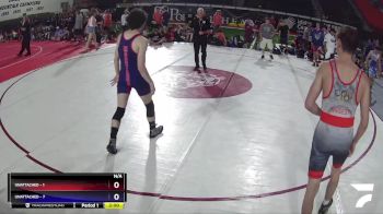 138 lbs Semis & Wb (16 Team) - DANNY HARDESTY, Nevada SILVER vs James Holmes, Montana 1