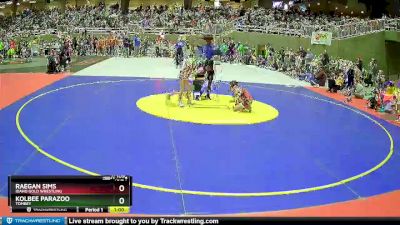 60 lbs Cons. Round 1 - Raegan Sims, Idaho Gold Wrestling vs Kolbee Parazoo, Tombey