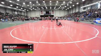 102 lbs Round 2 (3 Team) - BRODY DICAPRIO, Burnt Hills Sr HS vs Joel Scibek, Horseheads Sr HS