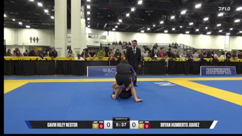 Bryan Humberto Juarez vs Gavin Riley Nestor 2025 World IBJJF Jiu-Jitsu No-Gi Championship