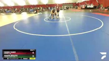 138 lbs Round 1 (16 Team) - Mason Brauch, Wadena-Deer Creek vs Moses Yanez, Batavia