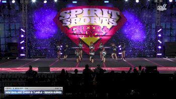 New England Cheer & Tumble - Senior Rubies [2025 L2 Senior - D2 Day 2] 2025 Spirit Sports Worcester Nationals