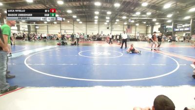 85 lbs Rr Rnd 3 - Luca Vitello, MF Dynasty - MS vs Mason Umberger, Shamrock Wrestling Club Red - MS