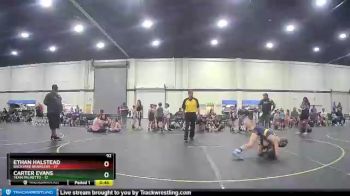 92 lbs Round 2 (3 Team) - Ethan Halstead, Backyard Brawlers vs Carter Evans, Team Palmetto