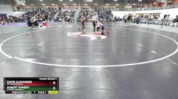 133 lbs Champ. Round 2 - Gavin Alexander, SIU Edwardsville vs Robert Ramsey, Ottawa University