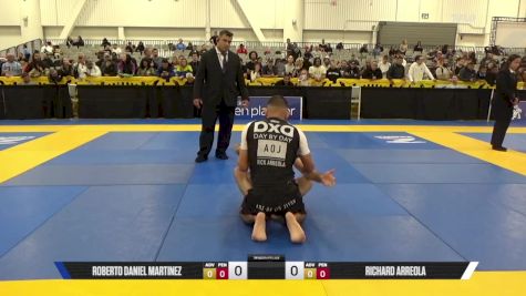 Richard Arreola vs Roberto Daniel Martinez 2025 World IBJJF Jiu-Jitsu No-Gi Championship