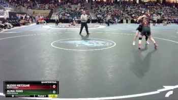 110 lbs Quarterfinal - Alina Fang, Poolesville vs Alexis Metzgar, North Point