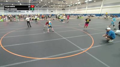 126 lbs Cons. Round 7 - Tyler White, Lake Gibson Braves vs Tyler Herring, Level Up