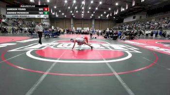 113 lbs Cons. Round 4 - Andrew Peterson, Washburn Rural vs Jameson Young, North Point