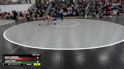 100 lbs Quarterfinal - Jack Anderes, Honey Badger Wrestling vs Avery Rios, Lions Wrestling Academy