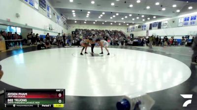 138 lbs Champ. Round 2 - Bee Truong, Santa Margarita Catholic High vs Ayden Pham, Troy High School