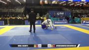 Arthan Bandeira Silva Barcellos vs Brian J. Beaury II 2025 Pan Jiu Jitsu IBJJF Championship