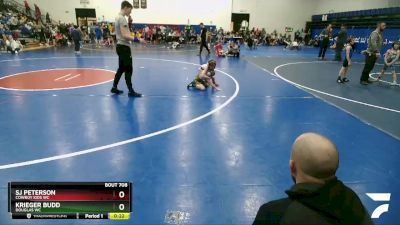 53 lbs Quarterfinal - Sj Peterson, Cowboy Kids WC vs Krieger Budd, Douglas WC