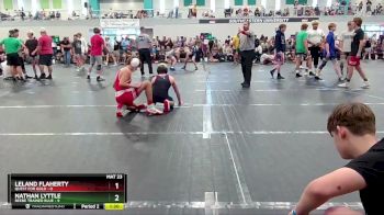 113 lbs Round 4 (6 Team) - Nathan Lyttle, Beebe Trained Blue vs Leland Flaherty, Quest For Gold