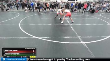 132 lbs Cons. Round 3 - Jackson Wesner, WI vs James Richard, IA