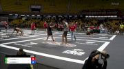 Grabriel Brod vs Tadeu Lobato 2024 ADCC South American Trials 1
