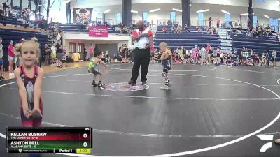 45 lbs Finals (8 Team) - Kellan Bushaw, The Other Guys vs Ashton Bell, Alabama Elite