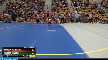 80 lbs Quarterfinal - Berkley Maertens, BOLD vs Vincent Jenkins, Pelican Rapids