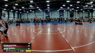 100 lbs Rd# 4- 2:00pm Friday Final Pool - Quinn Bagnell, PA Silver vs Ethan Halstead, Dynasty RED