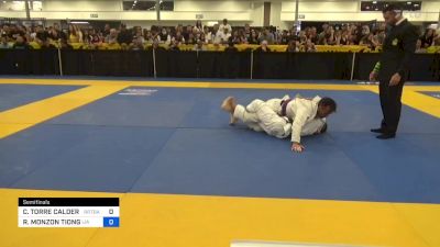 2023 World Master IBJJF Jiu-Jitsu Championship - Videos - FloGrappling