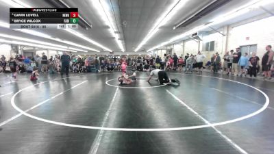 95 lbs Round Of 16 - Gavin Lovell, Newark Valley vs Bryce Wilcox, Fabius