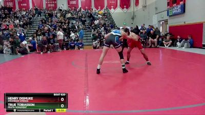 190 lbs Cons. Round 5 - True Tobiasson, Fruita Monument vs Henry Dismuke, Steamboat Springs