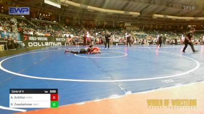 120 lbs Consi Of 4 - Arianna Antillon, Pomona Elite vs Reiona Zweibohmer, Immortal Athletics WC