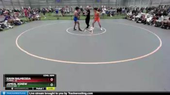 145 lbs 2nd Wrestleback (8 Team) - Gavin Balmeceda, Florida vs Jameal Agnew, Kansas Red