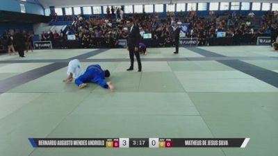 MATHEUS DE JESUS SILVA vs BERNARDO AUGUSTO MENDES ANDRIOLO 2026 Carlson Gracie