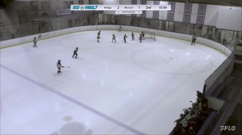 Replay: Home - 2024 Bridge HC vs Blizzard Mite | Feb 17 @ 6 AM