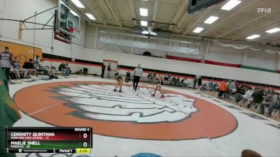 100-105 lbs Round 4 - Maelie Snell, Pinedale vs Cerenity Quintana, Worland High School
