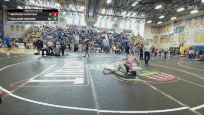 132 lbs Champ. Round 1 - Matthew Kowitski, Ponte Vedra vs Sullivan Harkins, Buchholz