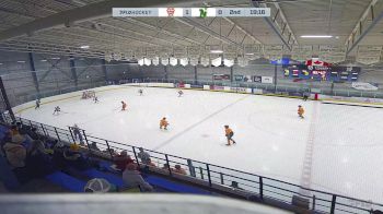 Replay: Home - 2024 NWCAA Stamps U13 vs CNHA Gold U13 | Nov 24 @ 12 PM