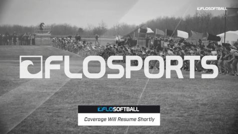 Sorcerer vs. Grapettes - Field 4