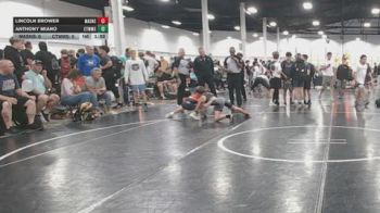 90 lbs Final - Lincoln Brower, Mat Assassins Gold - BHSE vs Anthony Miano, CTWHALE - BHSE