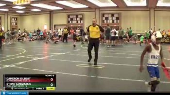 49 lbs Round 5 (6 Team) - Ethan Gianatasio, Steel Valley Silver vs Cameron Gilbert, Olympia National Team