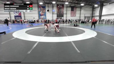 100 lbs Consi Of 32 #2 - Adriel Rodriguez, NY vs Brody Nedens, MT