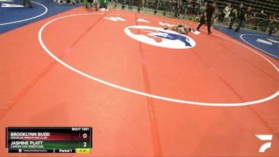 75 lbs Quarterfinal - Brooklynn Budd, Douglas Wrestling Club vs Jasmine Platt, Lander USA Wrestling