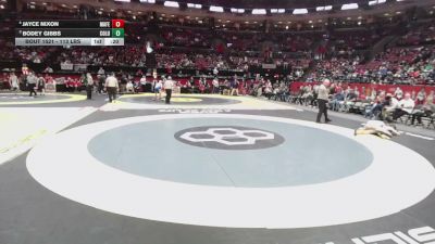 113 lbs 5th Place Match - Jayce Nixon, Martins Ferry vs Bodey Gibbs, Columbia