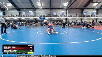 157 lbs Cons. Round 4 - Trenton Dow, Augsburg vs Aiden Brosinski, Wisconsin-Platteville