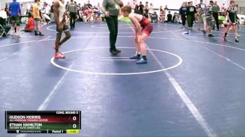 112 lbs Cons. Round 5 - Ethan Hamilton, Victory Elite Wrestling vs Hudson Morris, All American Training Center