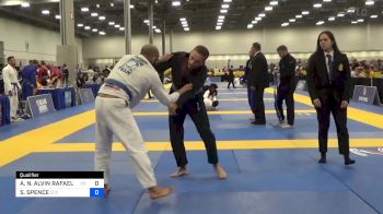 ALEXANDER N. ALVIN RAFAEL MEDINA vs SEAN SPENCE 2024 World Masters IBJJF Jiu-Jitsu Championship