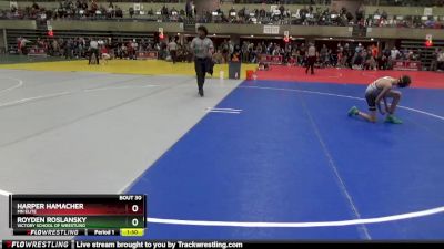 95 lbs Quarterfinal - Harper Hamacher, Mn Elite vs Royden Roslansky, Victory School Of Wrestling