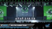 BCA Tiny Summit Team [2022 Tiny - Jazz - Small Day 2] 2022 CSG Schaumburg Dance Grand Nationals