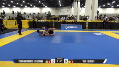 True S Budihas vs Steffano Cardoso Cavalcante 2025 World IBJJF Jiu-Jitsu No-Gi Championship