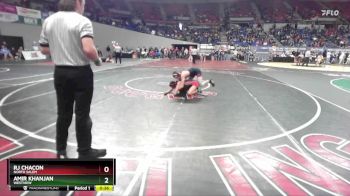 6A-126 lbs Cons. Round 4 - RJ Chacon, North Salem vs Amir Khanjan, Westview