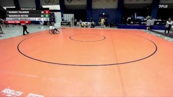 141 lbs Cons. Round 3 - Mauricio Reyes, Averett vs Robert Palmieri, Baldwin Wallace
