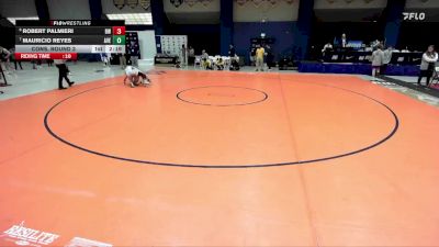 141 lbs Cons. Round 3 - Mauricio Reyes, Averett vs Robert Palmieri, Baldwin Wallace